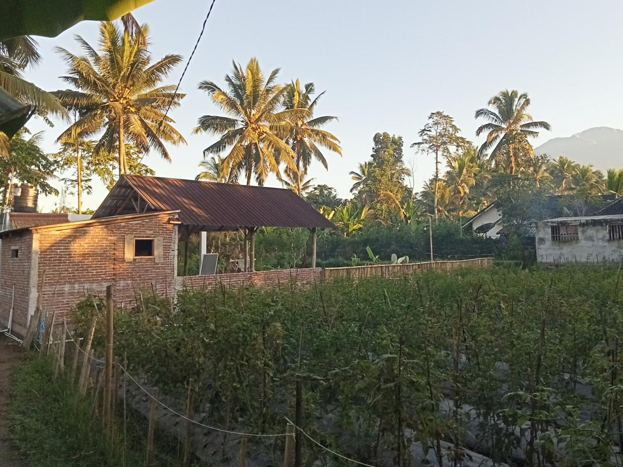 Homestay Together Tetebatu