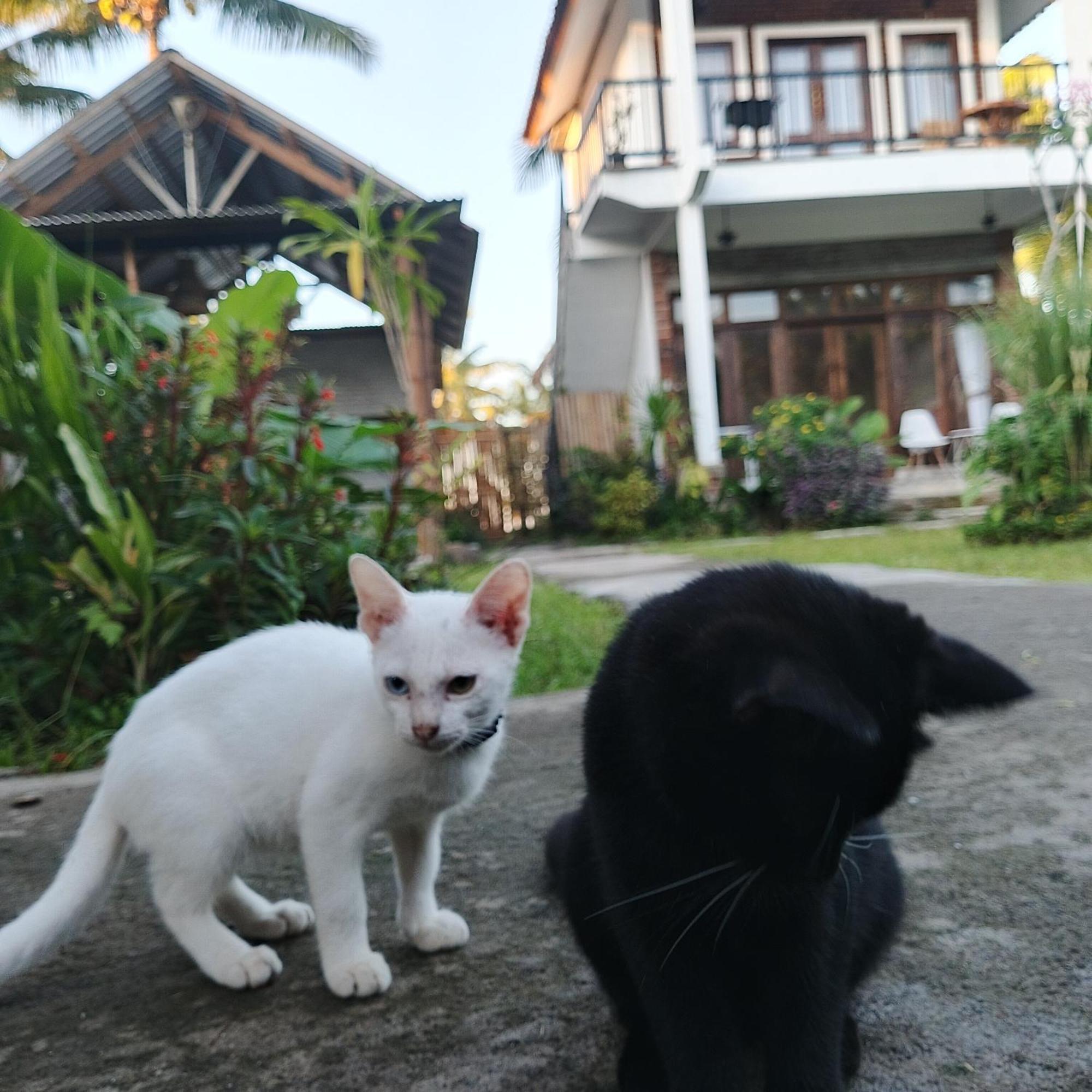 Together
